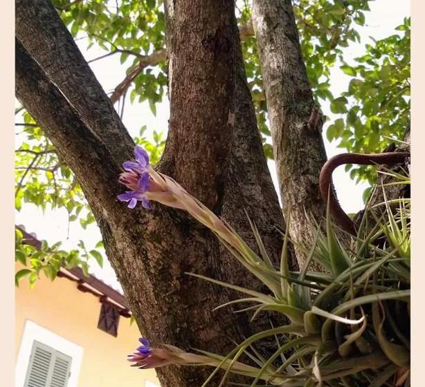 Agriturismo Monte Cologna