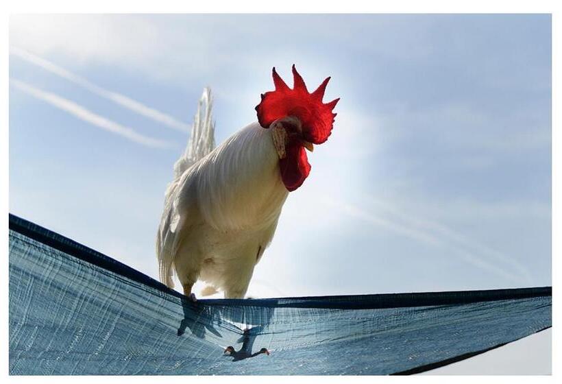 Agriturismo Monte Cologna