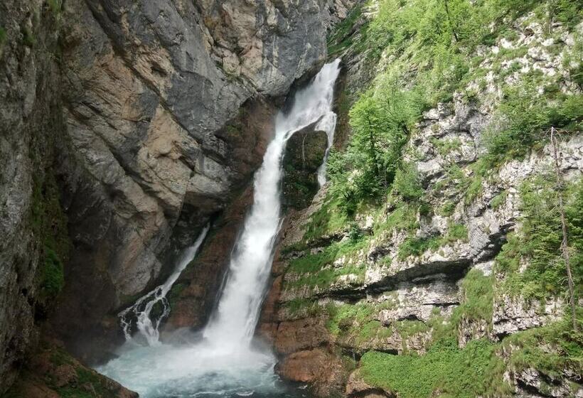 هاستل House Budkovič