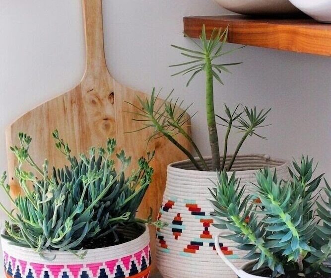 Art Riad Au Bord De La Mer