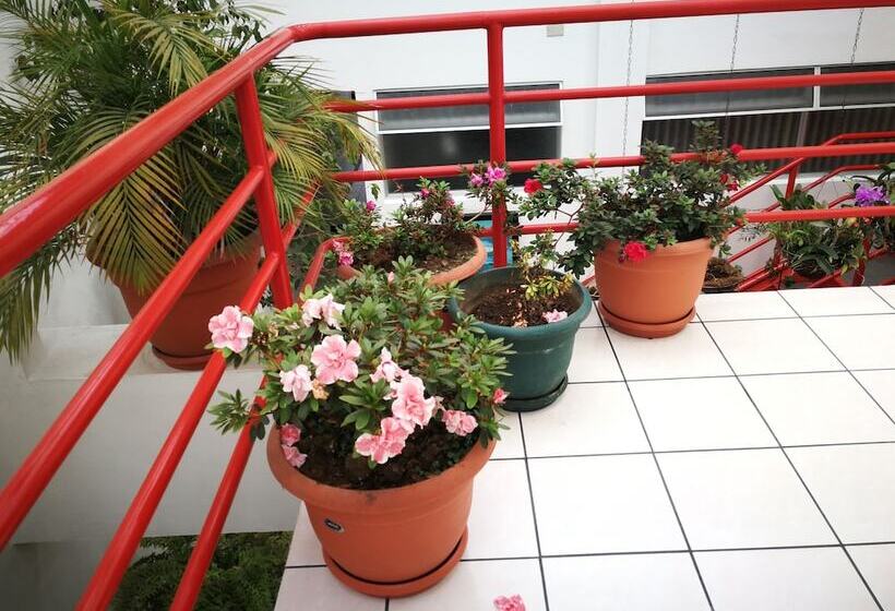 تختخواب و صبحانه Hojarascas