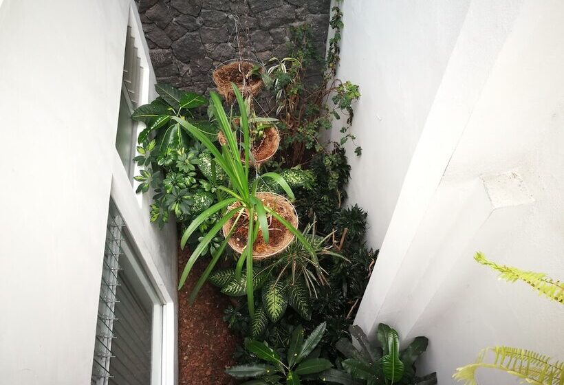 تختخواب و صبحانه Hojarascas