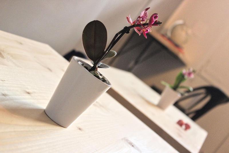 Bed and Breakfast La Casa Del Corallo