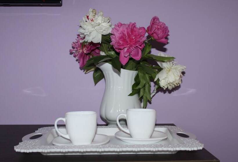 تختخواب و صبحانه Oneginn