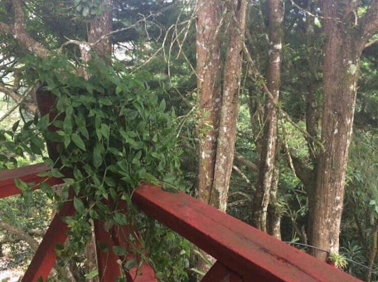 צימר Pousada Hospedaria Alecrim