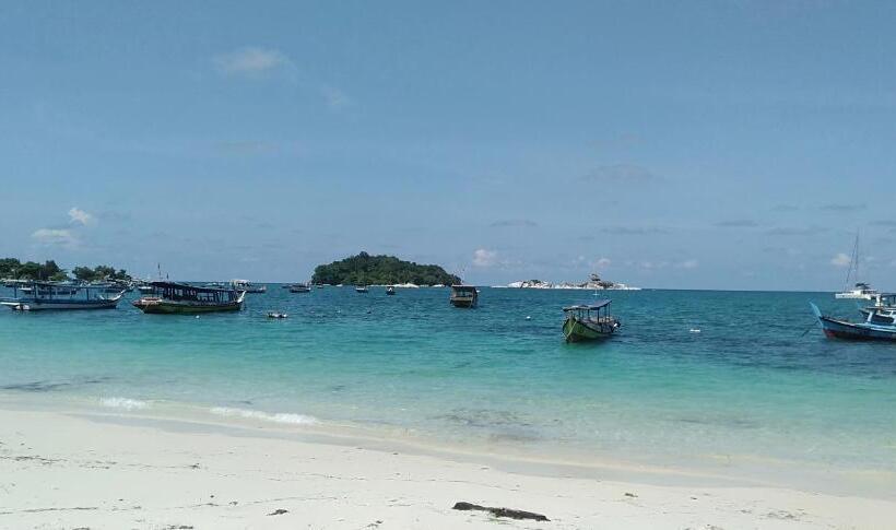 تختخواب و صبحانه Rock And Wreck Dive Resort