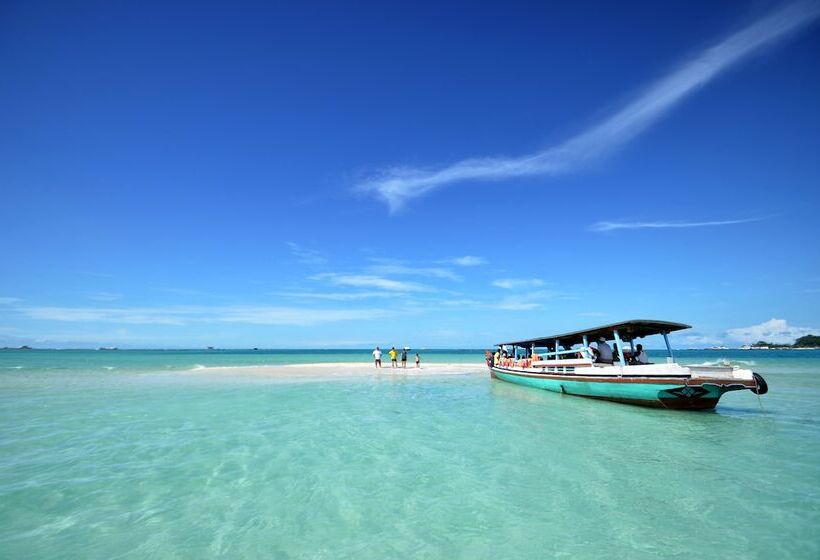 تختخواب و صبحانه Rock And Wreck Dive Resort