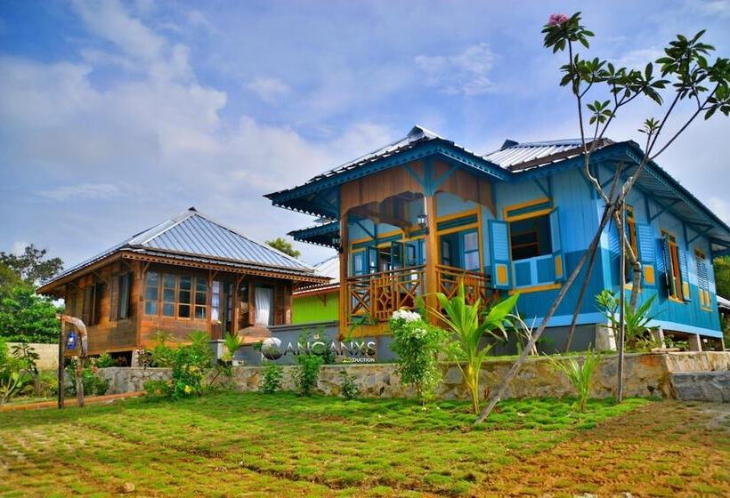 צימר Rock And Wreck Dive Resort