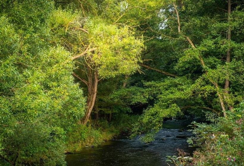 Bodetaler Basecamp Lodge   Bergsport  Und Naturerlebnis