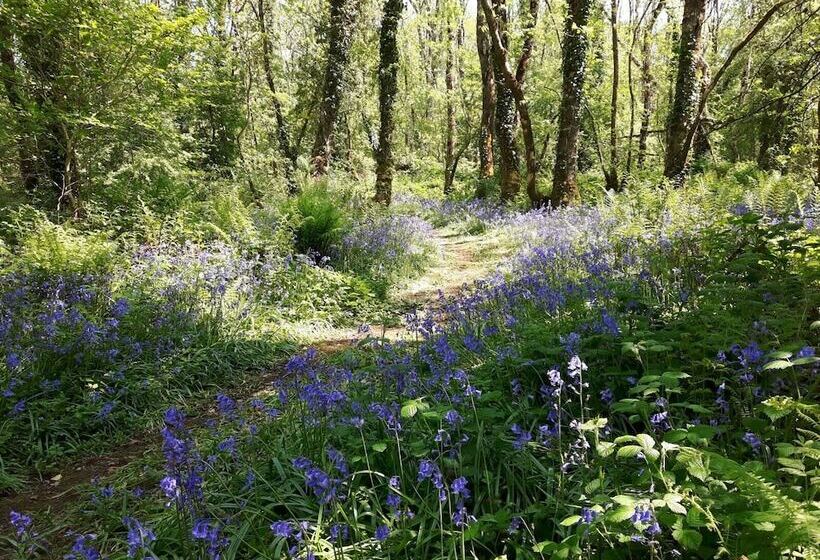 住宿加早餐  Clonalis House Historic Guest House