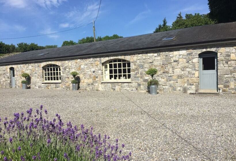 住宿加早餐  Clonalis House Historic Guest House