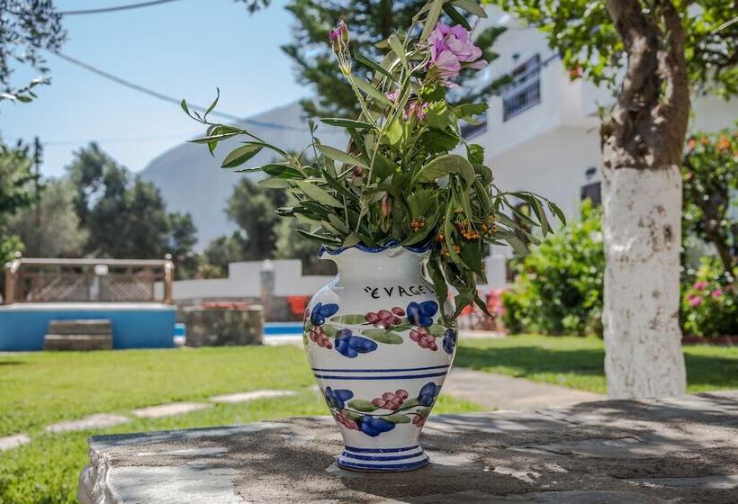 Evagelistria Apartments