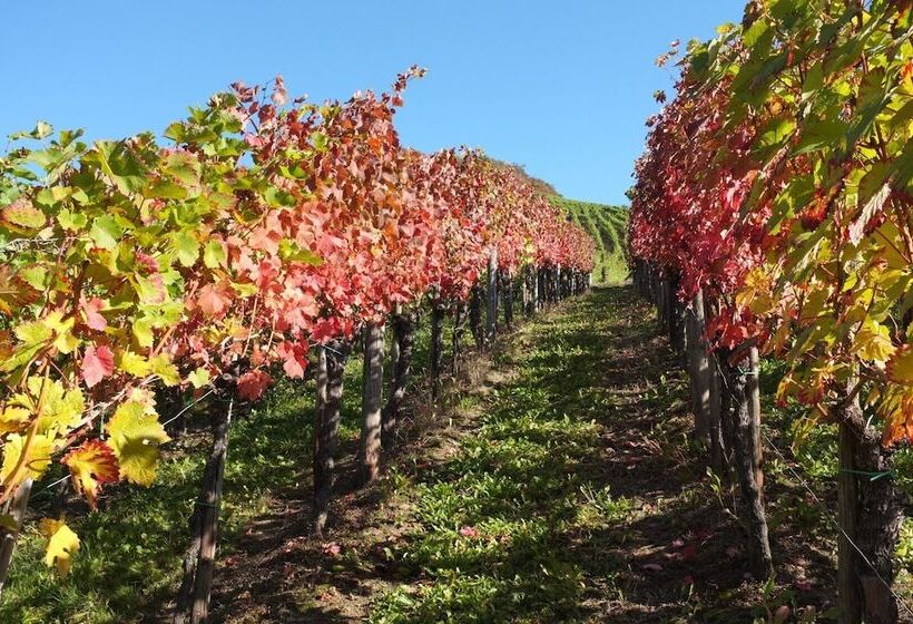 Ferienwohnung Haus Kotthoff