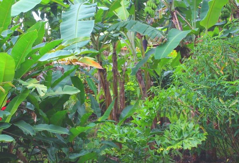 فندق Ceiba Tree Lodge