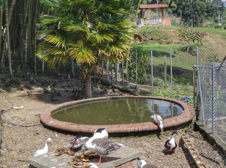 בית מלון כפרי Finca Turística Los Rosales