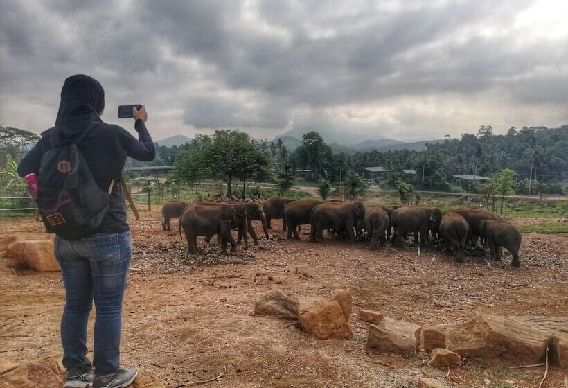 酒店 Green Garden Resort