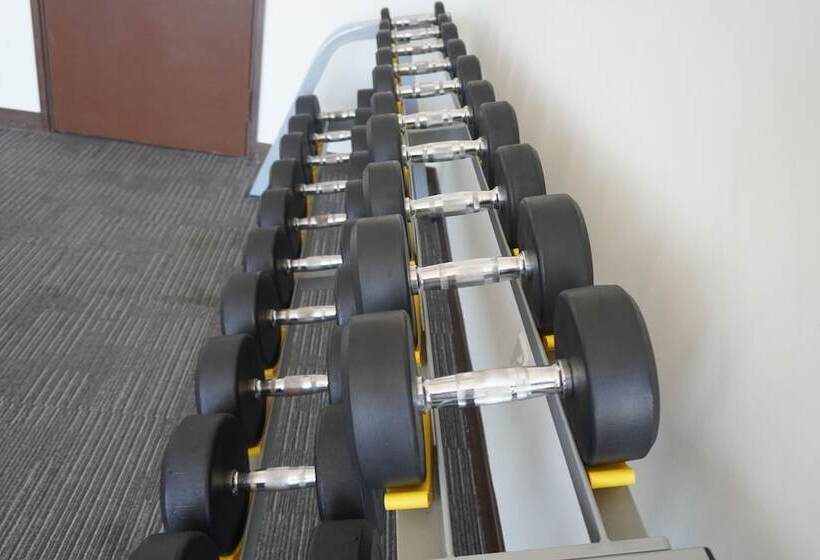 Paya Bunga Hotel Terengganu