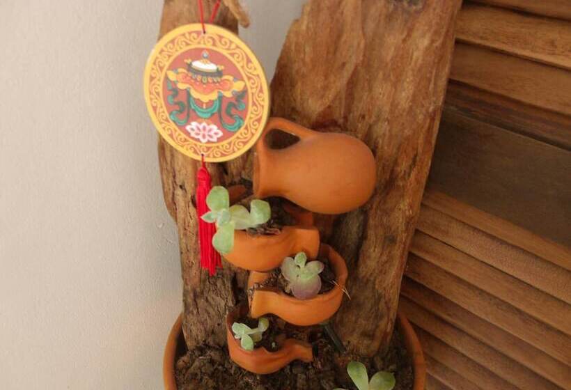 Отель Pousada Dos Ventos