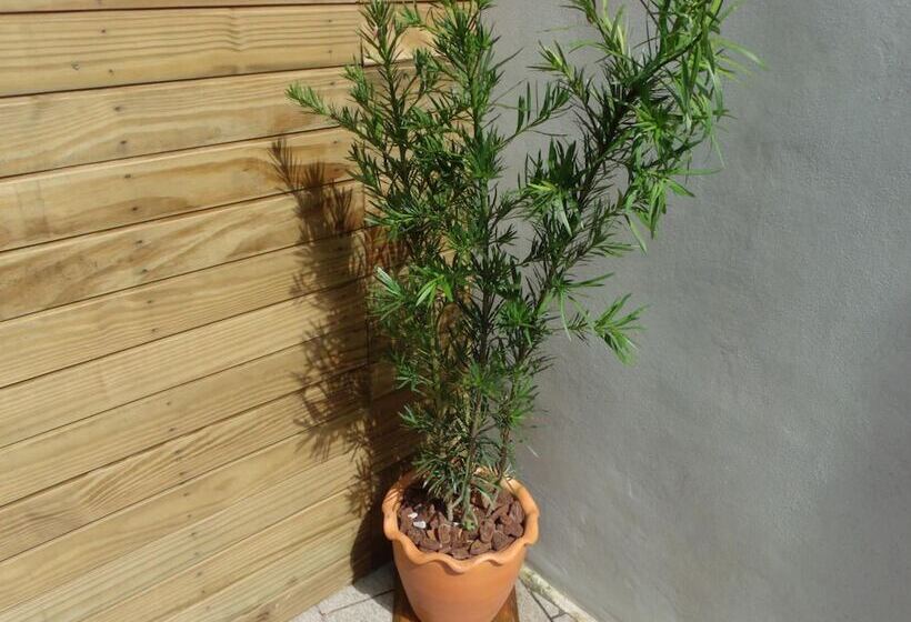 Отель Pousada Dos Ventos