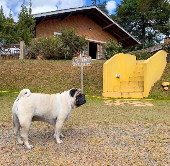 ホテル Pousada Villa Do Luar