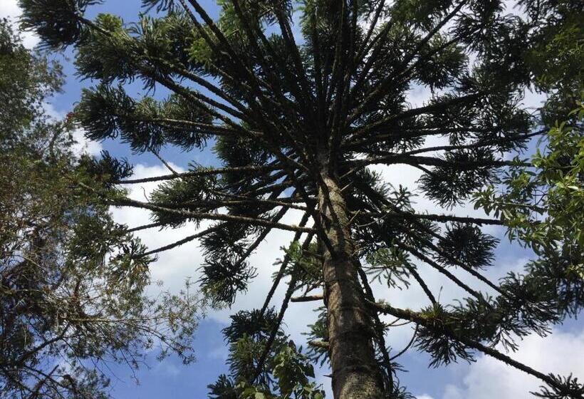 ホテル Pousada Villa Do Luar