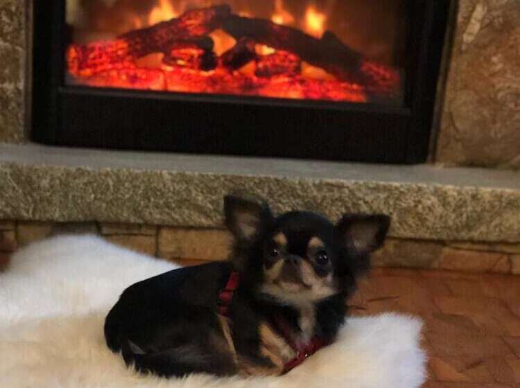 Отель Restaurant Dragonerbau