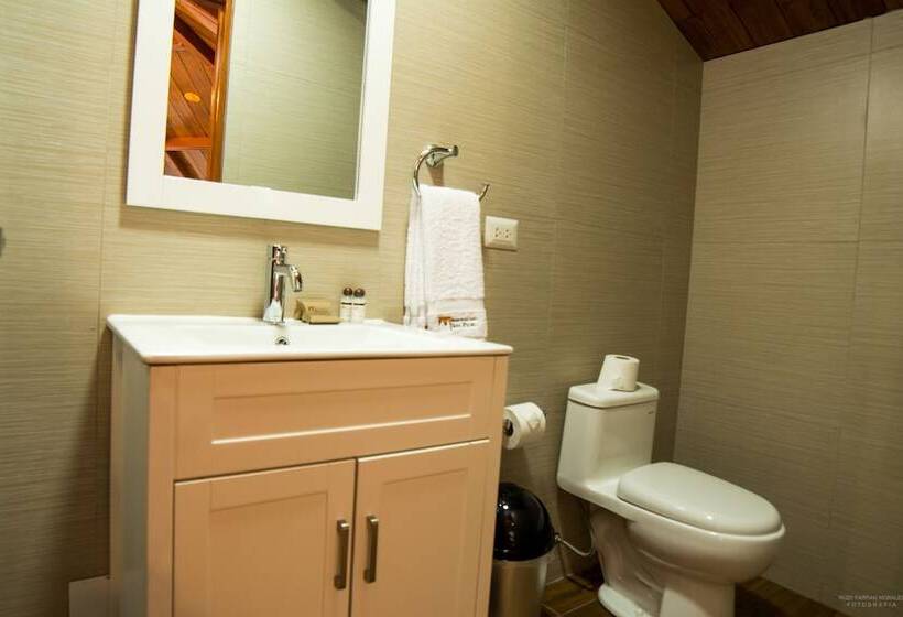 בית מלון כפרי San Pedro Plaza