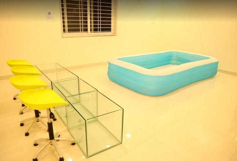 Отель Spago Inn