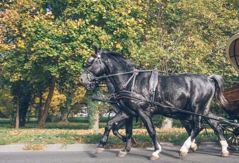 בית מלון כפרי The Palace At Osowa Sien