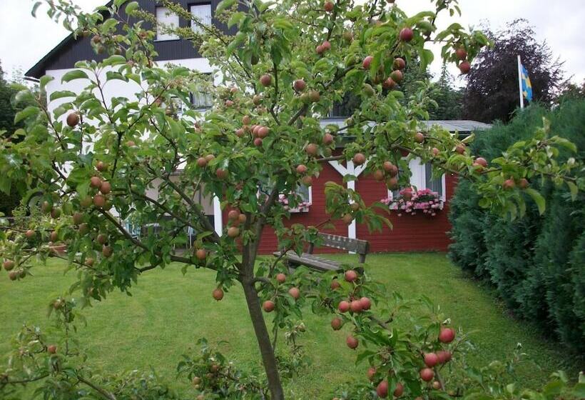 پانسیون Gästehaus Tepel