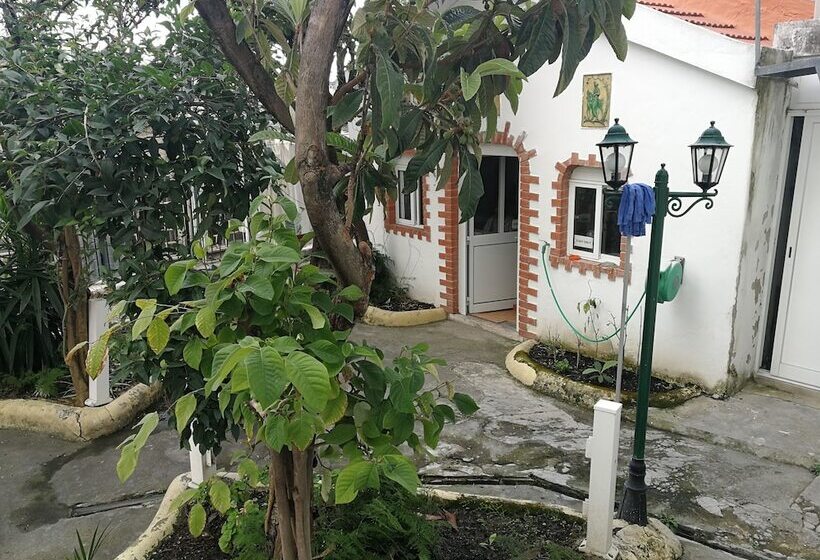 پانسیون Mana Guest House