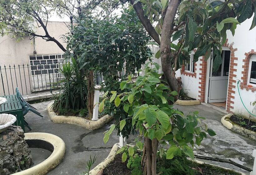 پانسیون Mana Guest House