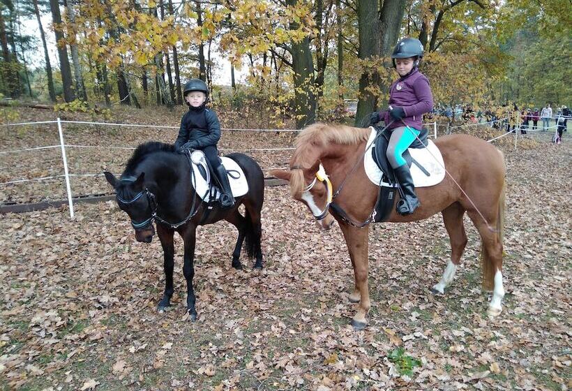 Pension Lindenhof Drabsch