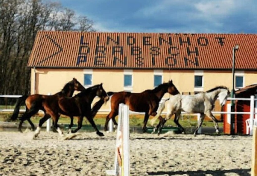 Pension Lindenhof Drabsch