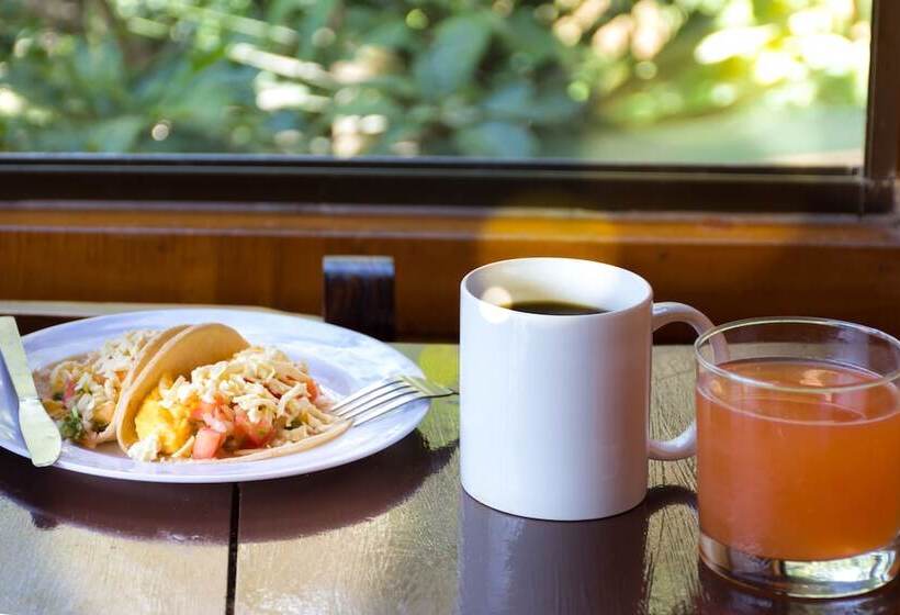 Que Tuanis Hostel Monteverde