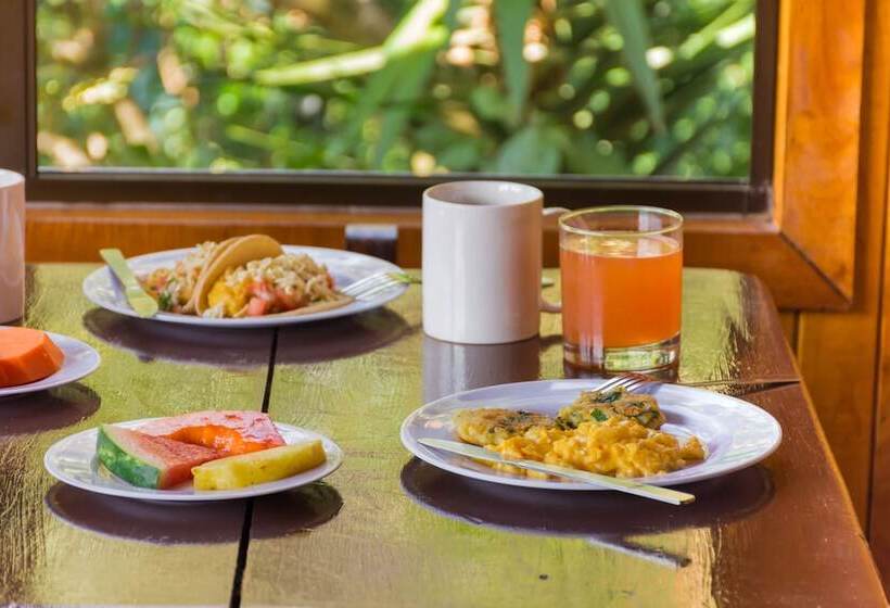 Que Tuanis Hostel Monteverde