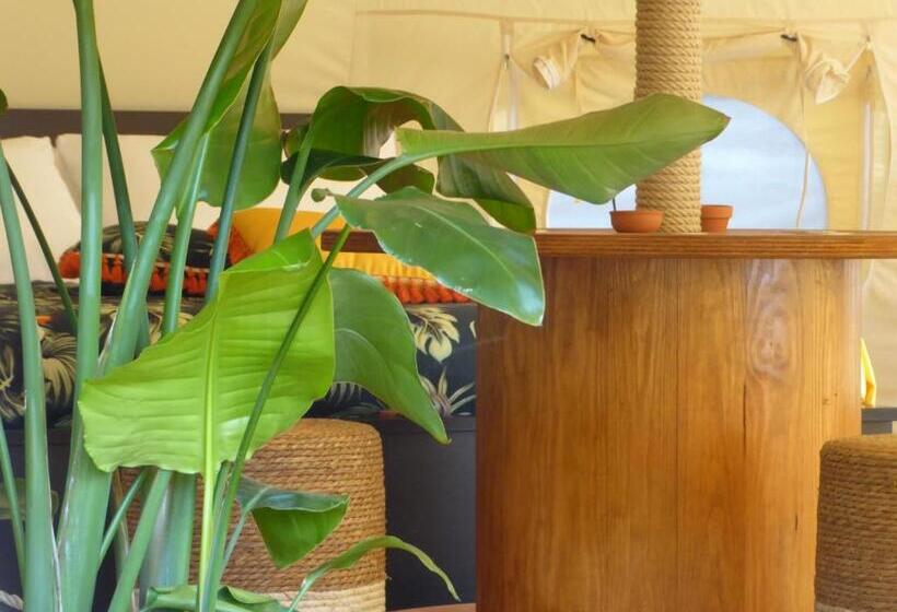 住宿加早餐  Oasi Degli Dei