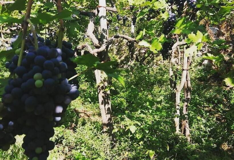 فندق ريفى Agriturismo Castanito