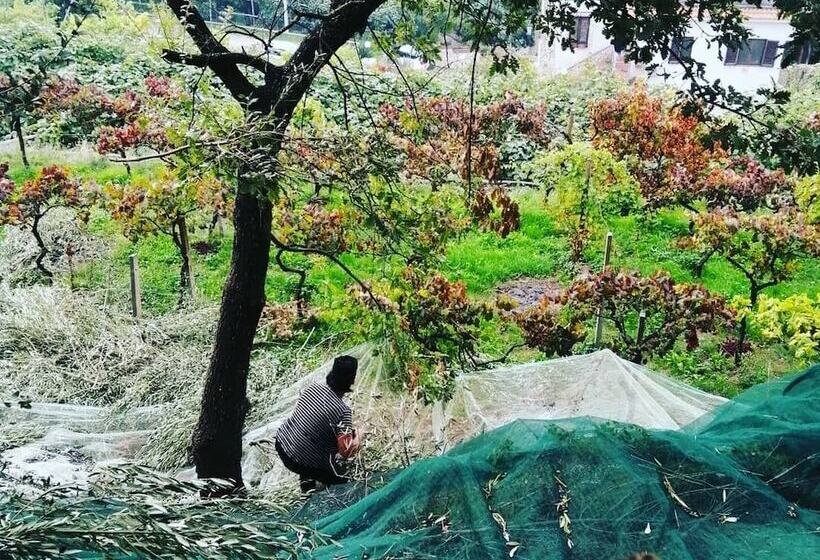 فندق ريفى Agriturismo Castanito