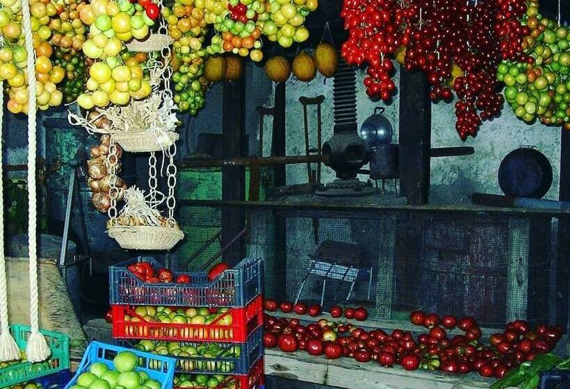 فندق ريفى Agriturismo Castanito