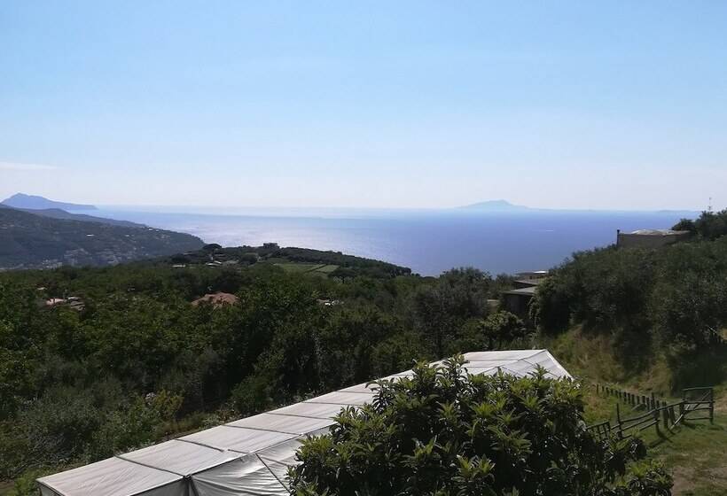 فندق ريفى Agriturismo Castanito