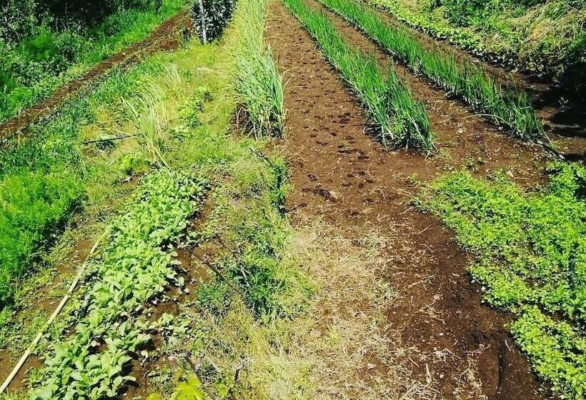 فندق ريفى Agriturismo Castanito