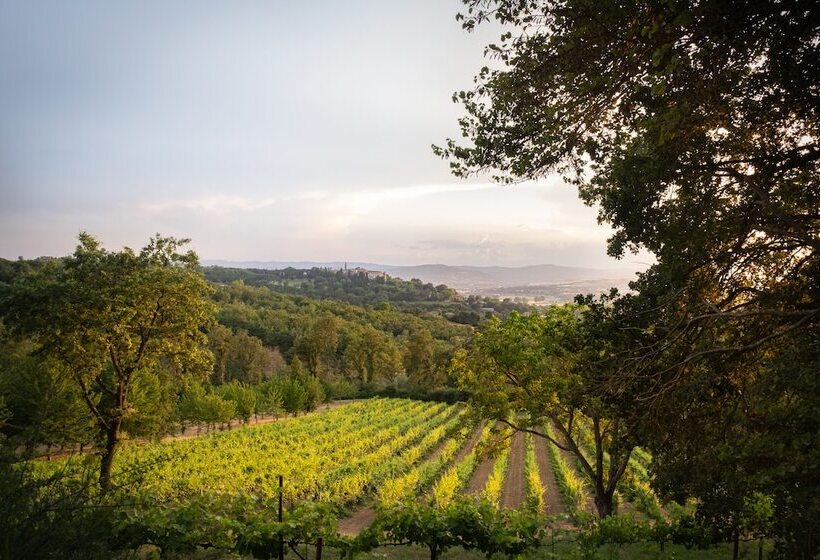 בית מלון כפרי Agriturismo Le Cerque