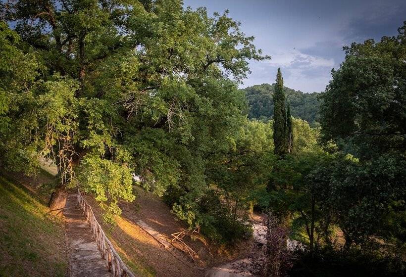 בית מלון כפרי Agriturismo Le Cerque