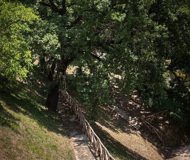 בית מלון כפרי Agriturismo Le Cerque