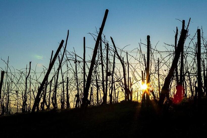 Сельский отель Agriturismo Minaldo