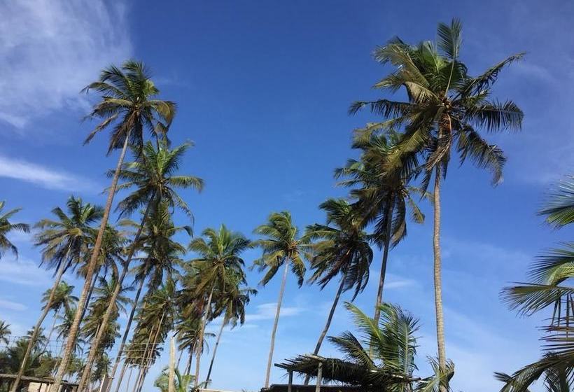 ホテル Stumble Inn Eco Lodge