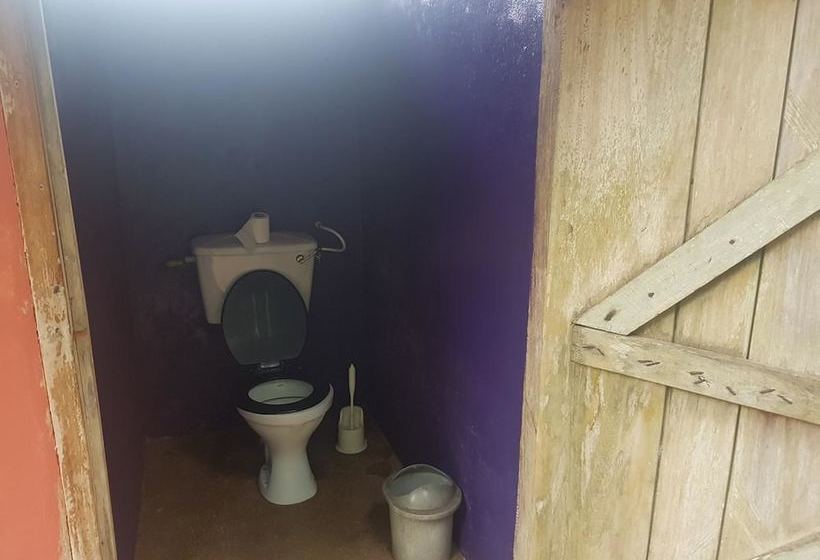 ホテル Stumble Inn Eco Lodge