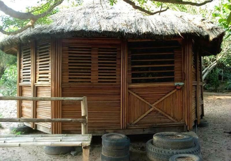 ホテル Stumble Inn Eco Lodge