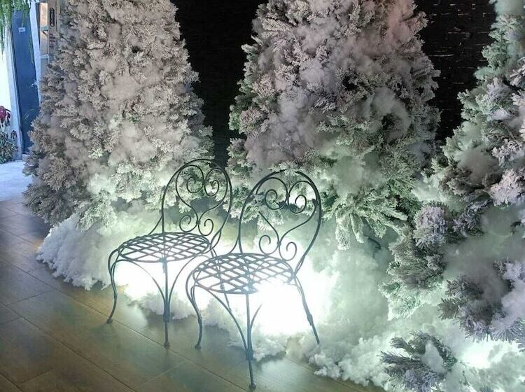 Отель Villa Antigua